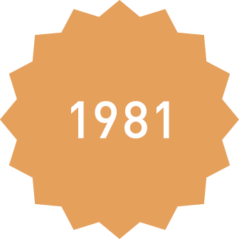 1981